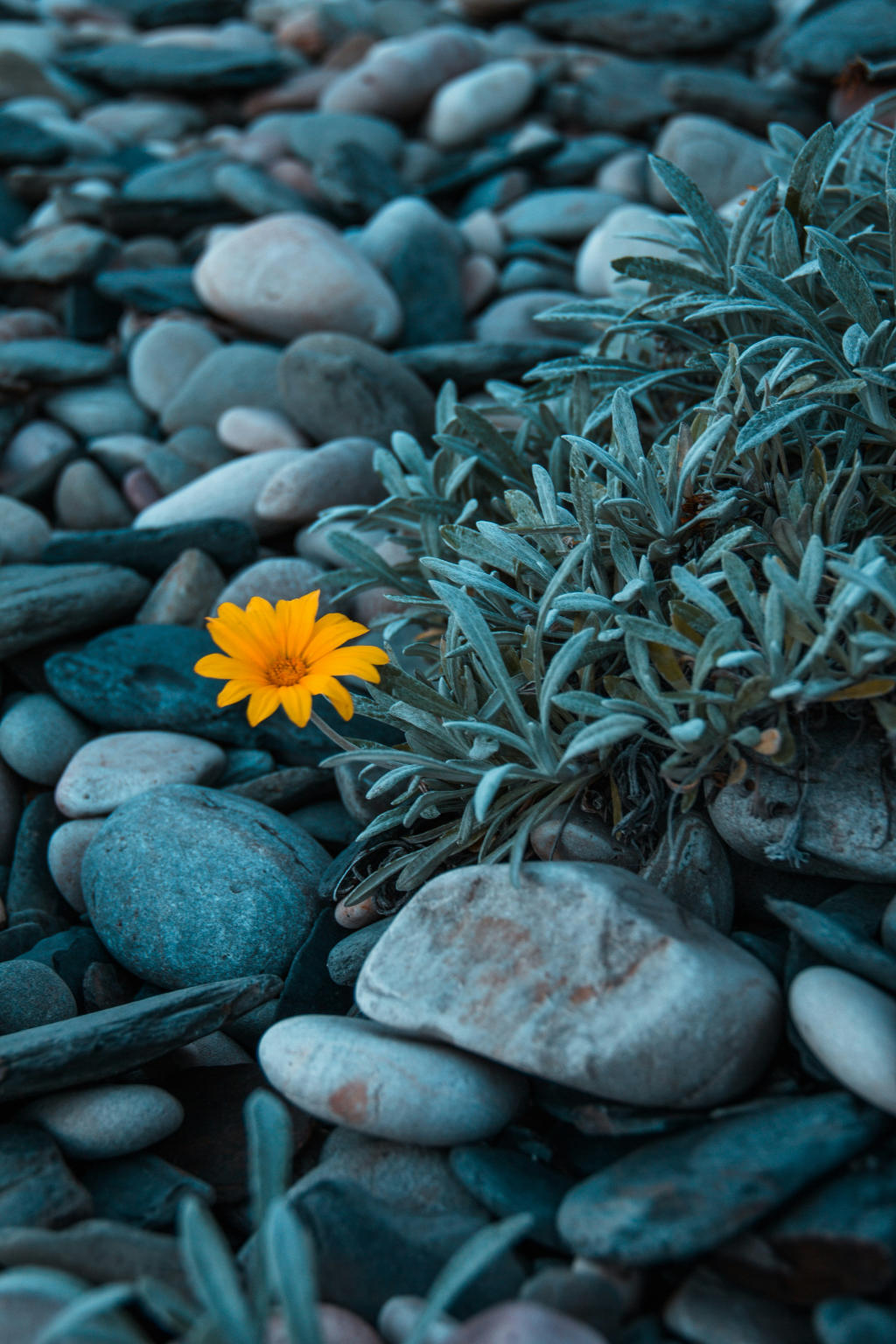 The Founder’s Story: Changing My Relationship with Chronic Pain