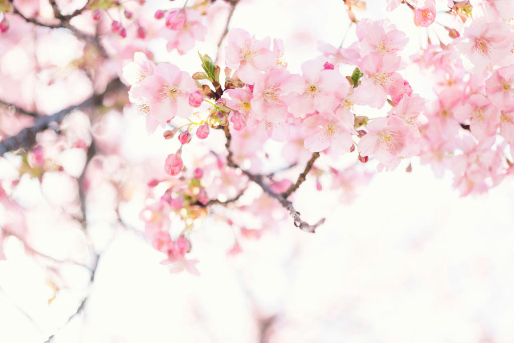 A Founder’s Story: How I Learned to Work With Anxiety Using Mindfulness