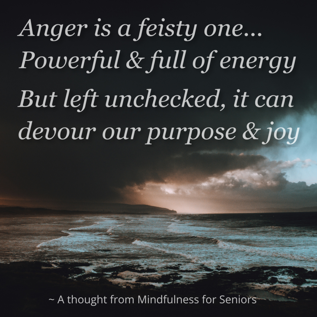 Anger can muddy the clear waters of our Ikigai. And Mindfulness help to let the clouds of our anger settle to renew our calm and clarity.