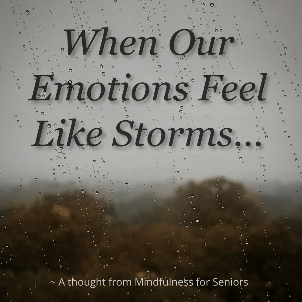When Our Emotions Feel Like Storms... Navigating our Dopamine Weather