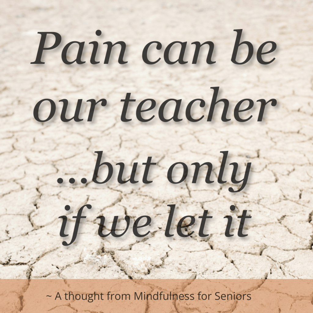 Pain can be our teacher... but only if we let it.