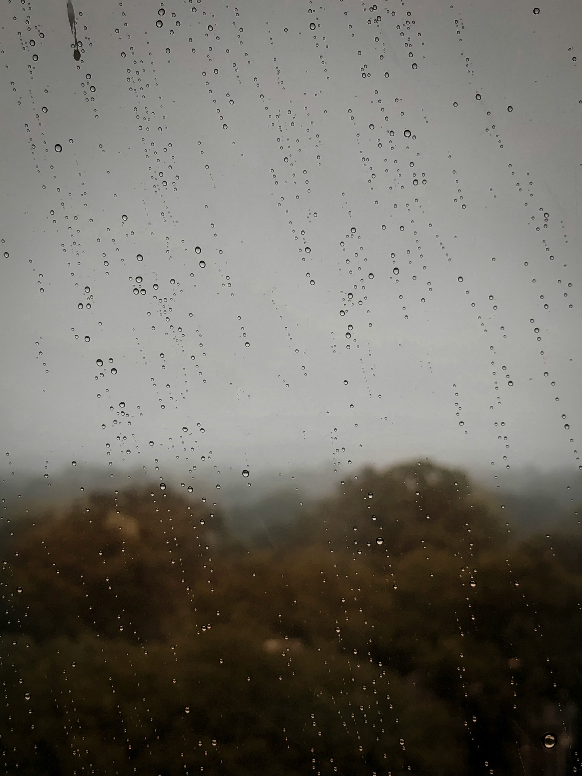 Our Inner Weather of Dopamine Highs & Lows